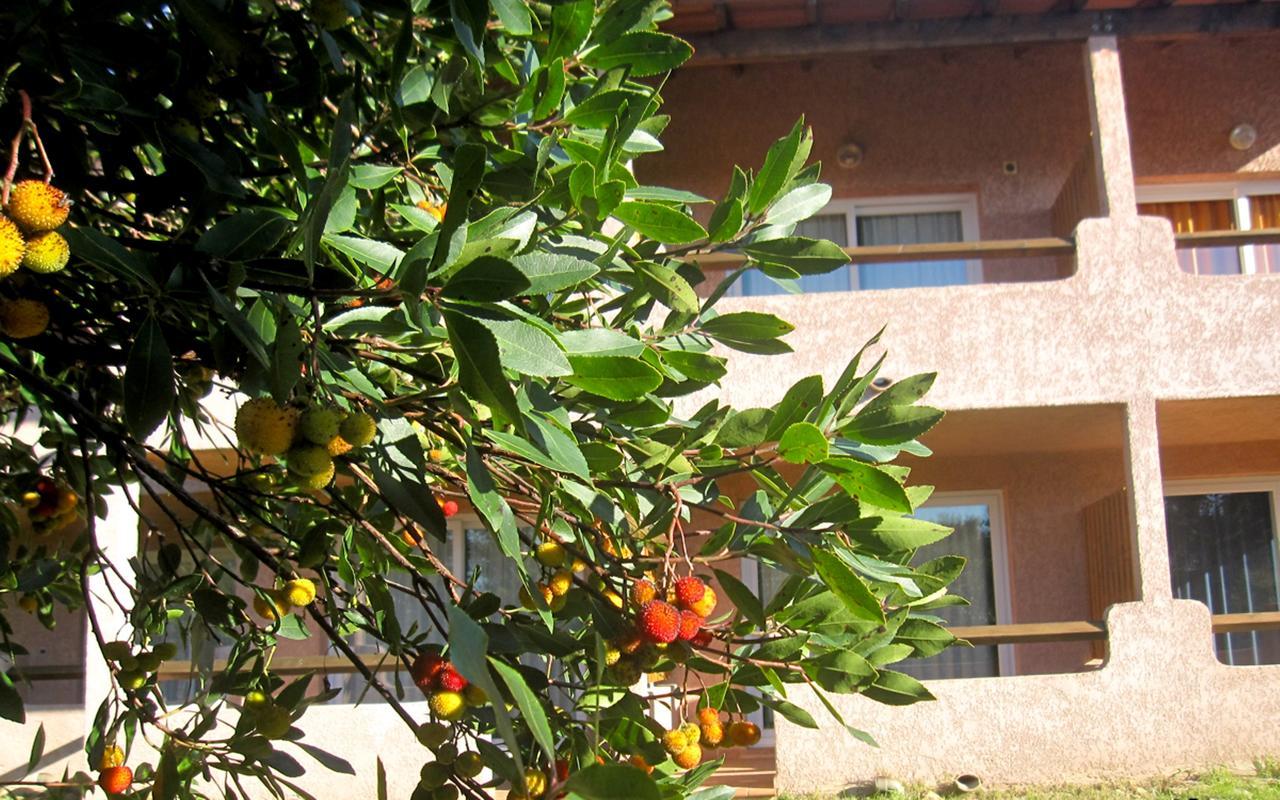 Aparthotel Complesso Residenziale Marina Di Pinarello Pinarellu Exterior foto